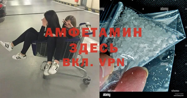 твердый Аркадак