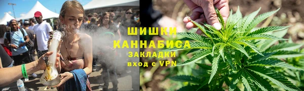 твердый Аркадак