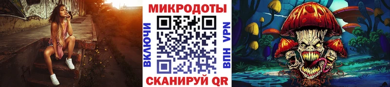 закладка Светогорск Псилоцибиновые грибы Psilocybine cubensis