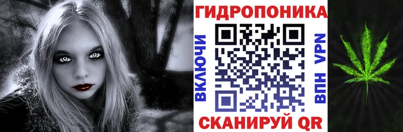 мега вход  сколько стоит  Светогорск  Каннабис сатива 